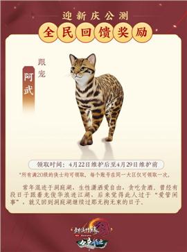 天龙八部私服黄色